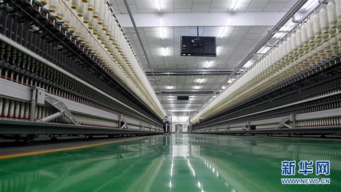 探访新疆纺织业 无人车间背后的浙江软件力量